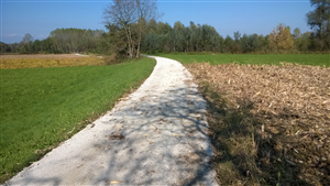 Pista Ciclopedonale